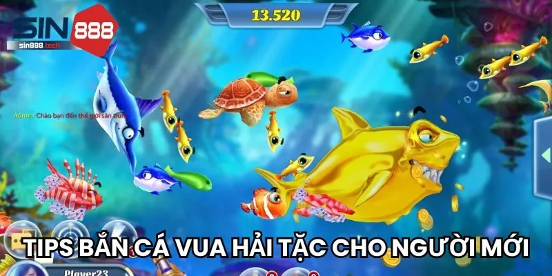 Chia sẻ tips bắn cá vua hải tặc cho người mới